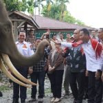 Faisal Hasrimy Ingin Wisata Faisal Hasrimy Ingin Wisata