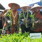 Tim Monitoring TP PKK Sumatera Utara