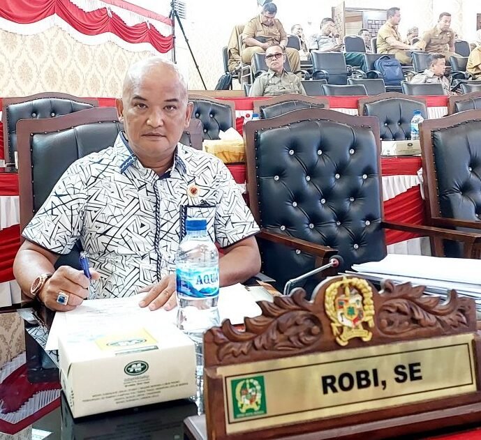 Anggota DPRD Medan dari PDI Perjuangan, Robi Barus