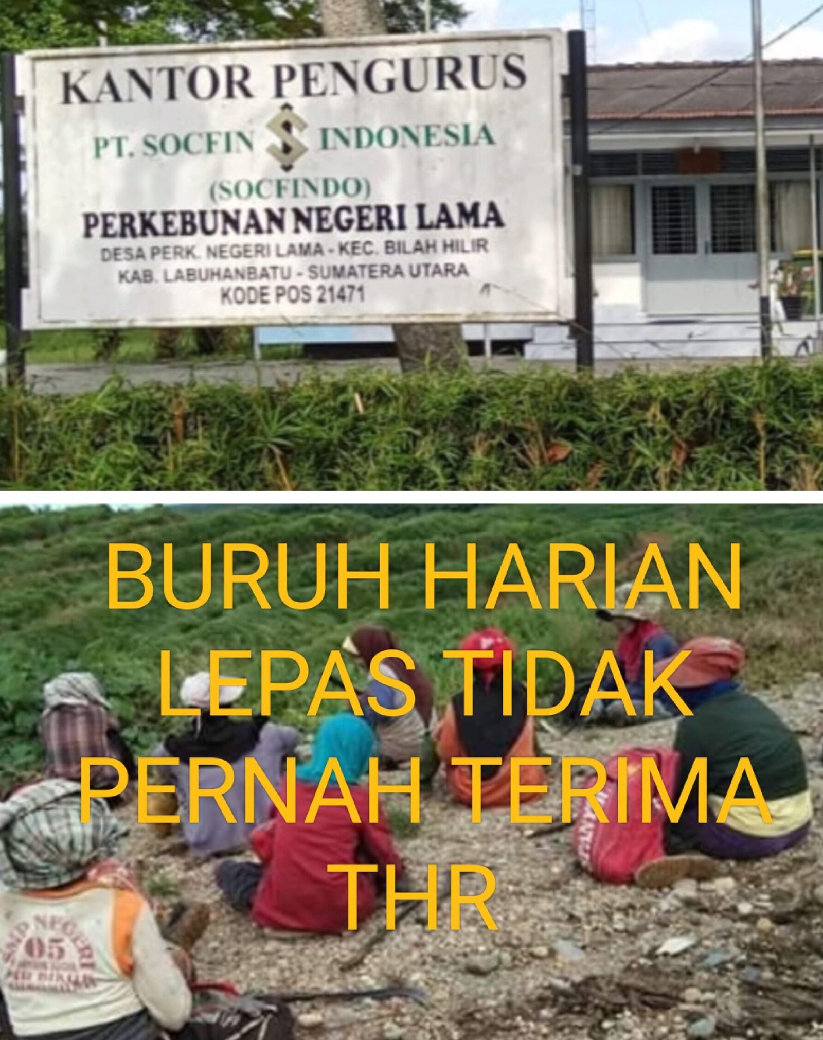 Kantor Desa Perkebunan PT Socfindo Negeri dan Ilustrasi pekerja/ BHL kaum ibu - ibu 