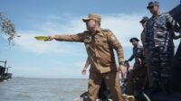 Rianto  menaburkan benih kerang dara dipesisir Desa Silo Baru,