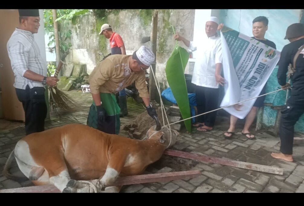 Ustaz Lintong Sirait saat melakukan penyembelihan Hewan Qurban berupa sapi di Siantar ZOO/Taman Hewan Pematangsiantar.