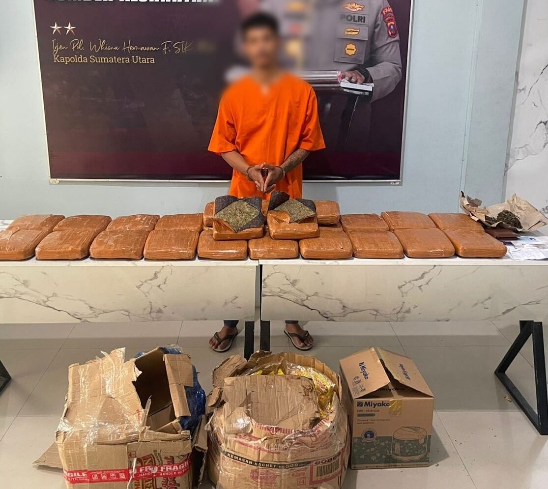 SM bersama daun ganja kering sebagai barang bukti kini telah diamankan di Satres Narkoba Polres Batu Bara