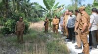 Dr Abdul Roni Angkat bersama Bupati Asahan saat melakukan peninjauan langsung ke lokasi cetak sawah, di Desa Silo Bonto,