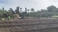 Inilah lokasi tanah HGU PTPN2 yang kini dikuasai dan dimiliki PT. Ciputra di Kabupaten Deliserdang, Sumatera Utara. Jumlahnya mencapai 8.077,76 hektare