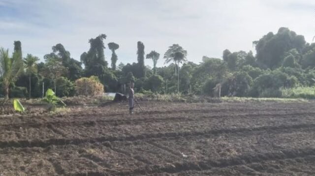 Inilah lokasi tanah HGU PTPN2 yang kini dikuasai dan dimiliki PT. Ciputra di Kabupaten Deliserdang, Sumatera Utara. Jumlahnya mencapai 8.077,76 hektare