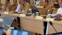 Gubsu Bobby Nasution saat audiensi bersama Bupati Taput ke Menkes