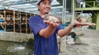 Irawan Sinaga bersama Kepeting Cangkang Lunak