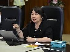 Ketua Pansus Ranperda KTR DR Dra Lily MBA (PDI P)