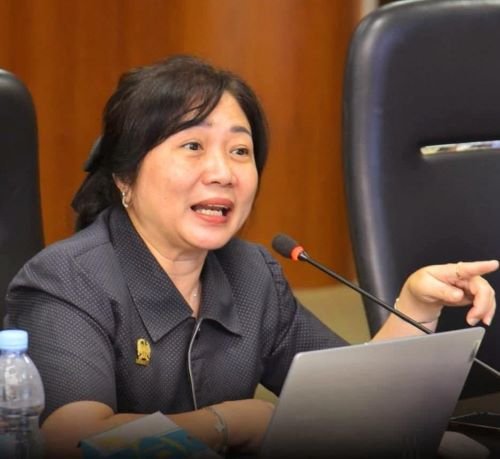 Ketua Pansus KTR Dr. Dra Lily, MBA, MH