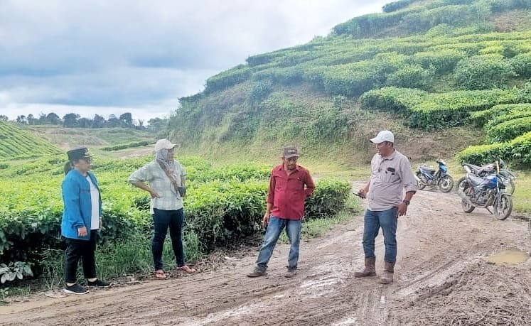 Camat Sidamanik didampingi oleh Asisten Tanaman Afdeling III Sidamanik, Setiarman, serta Pangulu Nagori Mekar Sidamanik, Indah Manurung, dan Pangulu Nagori Ambarisan, Amrin Damanik saat tinjau lokasi banjir. (foto/IMC/ist)