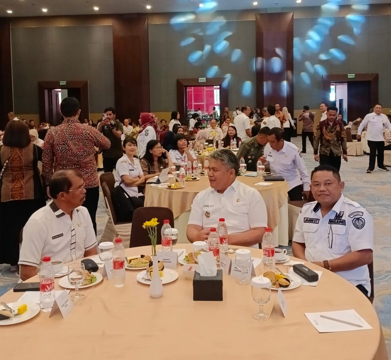 Rapat kordinasi Pemanfaatan Data Kewilayahan dan Informasi di Medan.* 