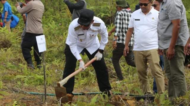 Pemulihan lahan pasca bencana,Bupati Taput canangkan penanaman sejuta durian.