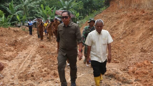 Kunjungan kerja Bupati JTP Hutabarat ke daerah terdampak bencana di Kecamatan Adiankoting.