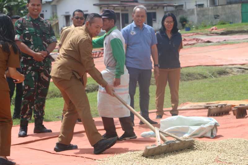 Dukung industri kopi lokal,Bupati Taput dan unsur Forkopimda kunjungi petani kopi Siborongborong.*