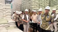 Saat meninjau stok beras di gudang