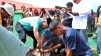 Bupati Simalungun saat sembelih langsung Hewan Qurban.
