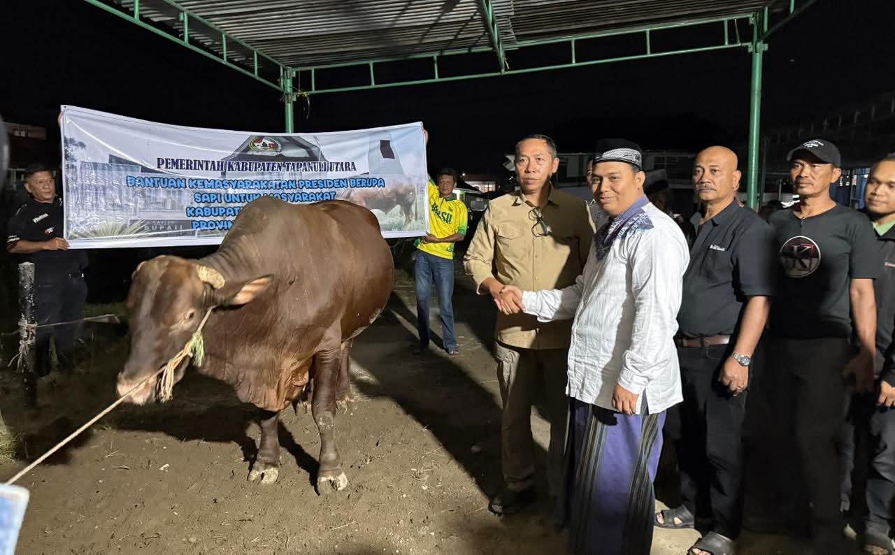 Perayaan Idul Adha 1447 H di Tarutung dan Taput berlangsung khidmat. Hewan qurban dari Bupati JTP Hutabarat dan pengusaha RM Gumarang Lundu Tobing mewarnai suasana.