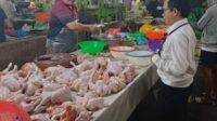 Harga Bapok Medan Masih Stabil, Kebaikan Cabai Merah dan Minyak Goreng Curah Perlu Dicermati