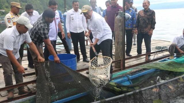Wabup Taput menghadiri panen raya ikan nila yang dikelola BUMDes Hutalontung Kecamatan Muara.*