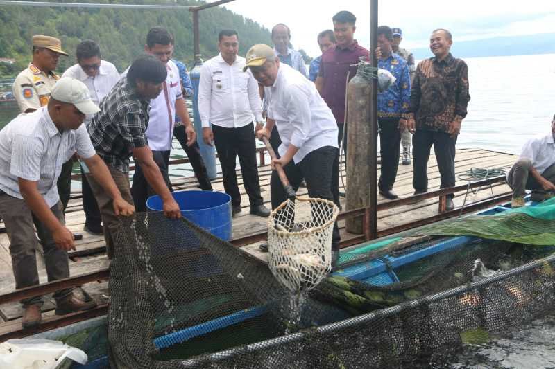 Wabup Taput menghadiri panen raya ikan nila yang dikelola BUMDes Hutalontung Kecamatan Muara.*