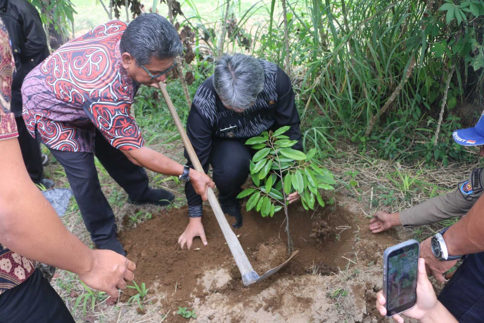 Pemkab Taput berkolaborasi dengan PT Taspen salurkan 1.500 bibit durian Musang King untuk kelompok tani Kec.Parmonangan.*